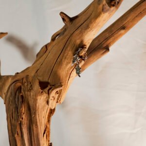 Flower Studd Earrings