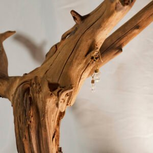 Golden Crystal Drop Earrings