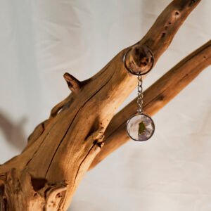 Dried White Diasy Keychain