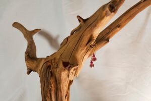 Maroon Crystal Drop Earrings