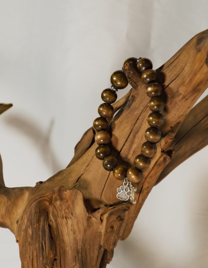 Paws & Bone Charm Bracelet