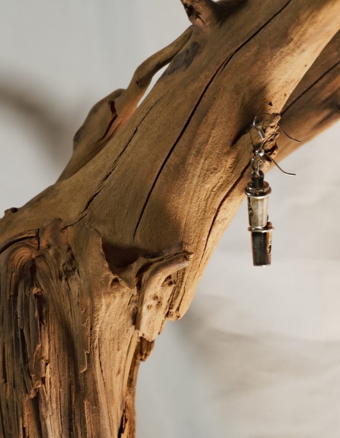 Starbucks Cup Earrings