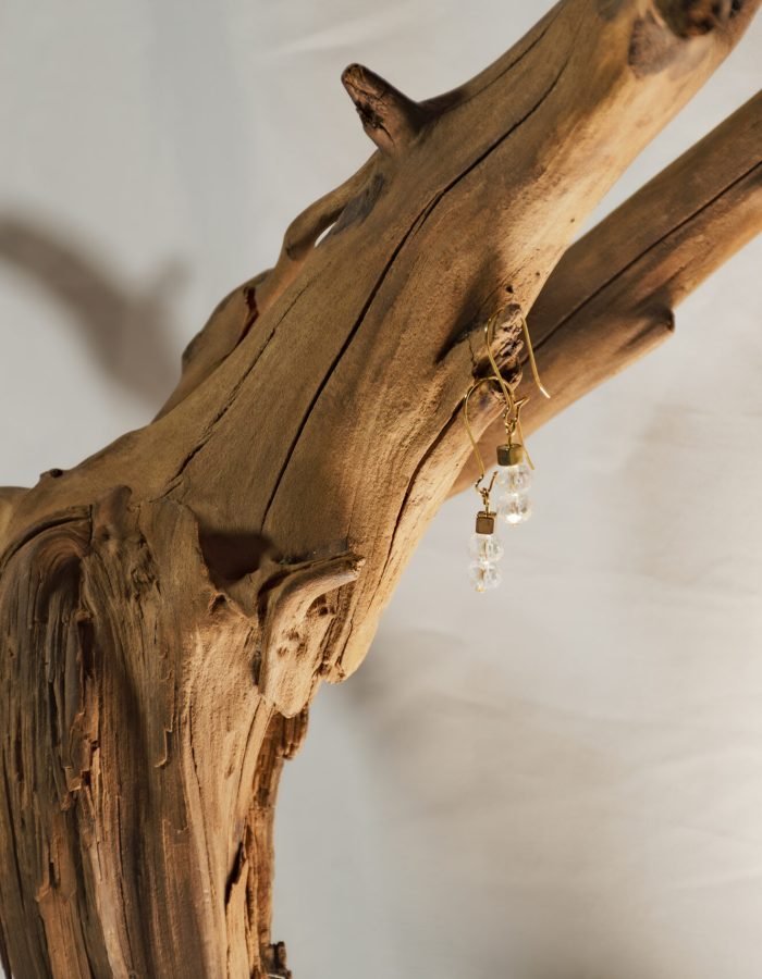 Golden Crystal Drop Earrings