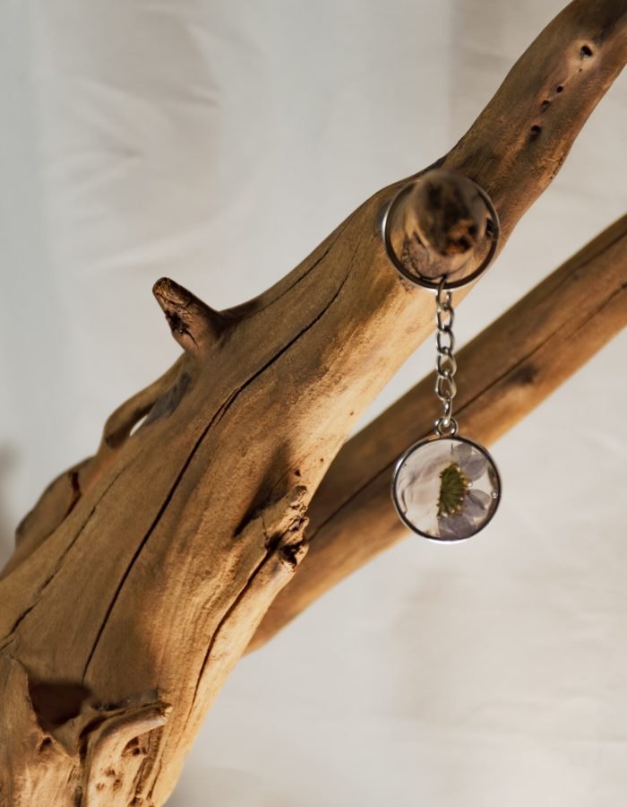 Dried White Diasy Keychain