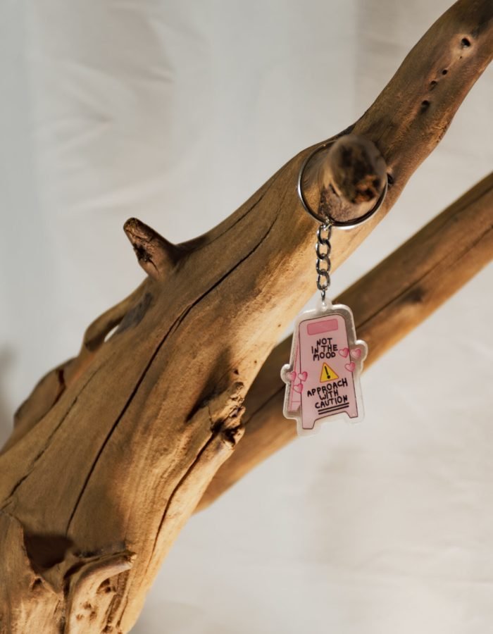 Not In The Mood Hazard Keychaing