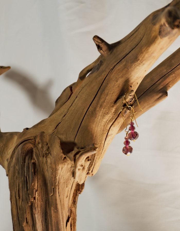 Maroon Crystal Drop Earrings